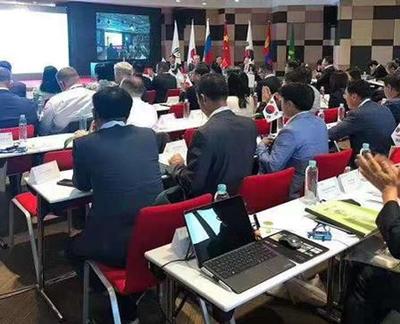 專業個人翻譯服務 精準解讀與翻譯診斷報告